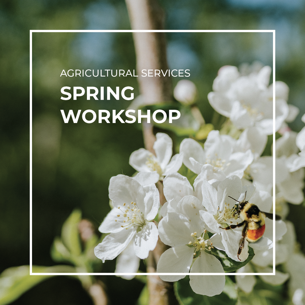 Spring Workshop Ticket