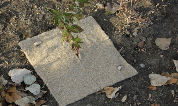 Weed Suppressant Square